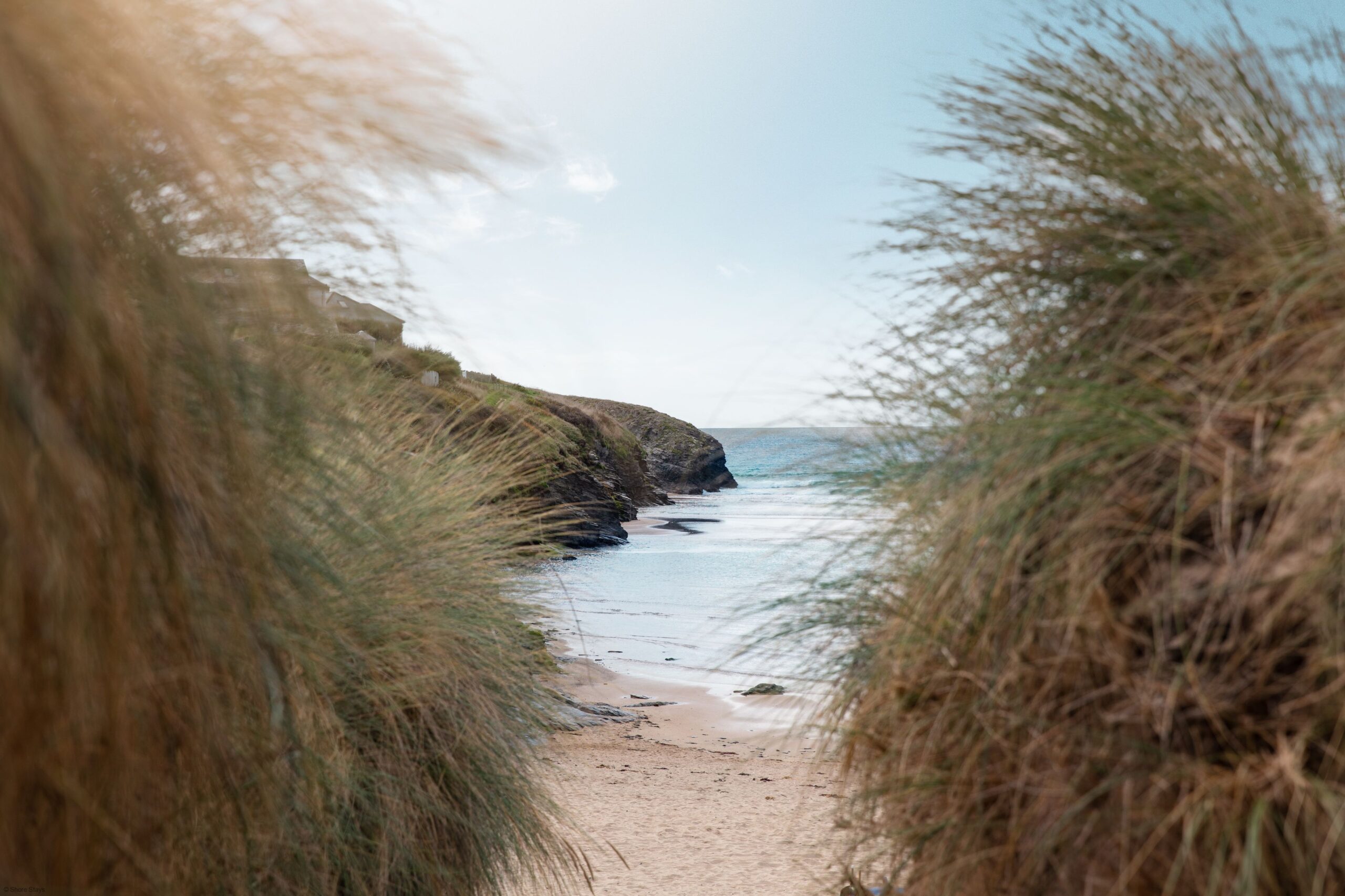 A beach framed by tall grass, leading to the shoreline.