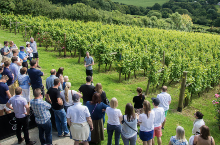 A group of people gathering around a speaker in a vineyard