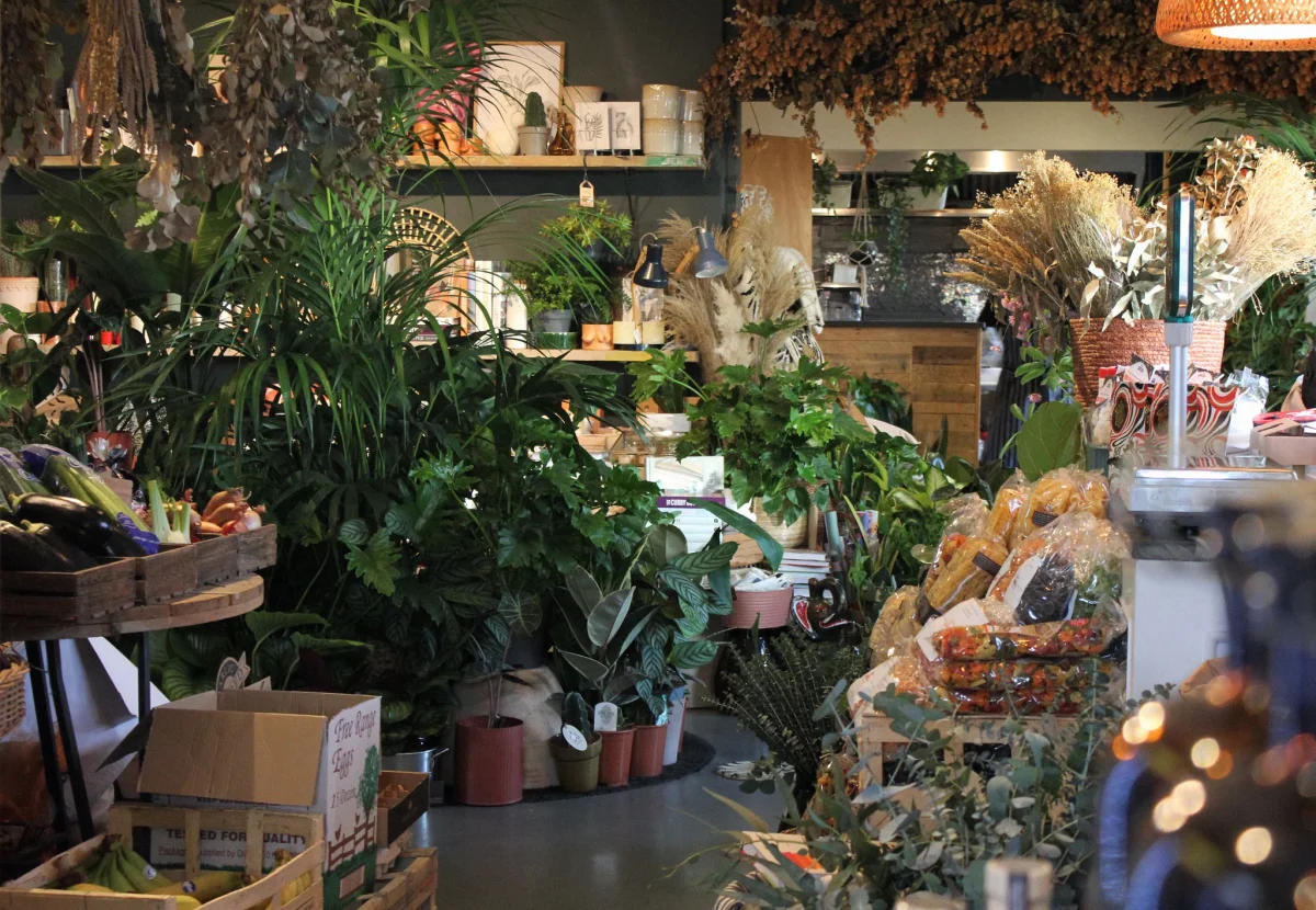 An indoor garden shop with a variety of potted plants and dried flowers